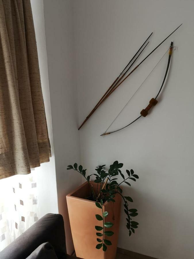 Lilian City Center Studio غراتس المظهر الخارجي الصورة